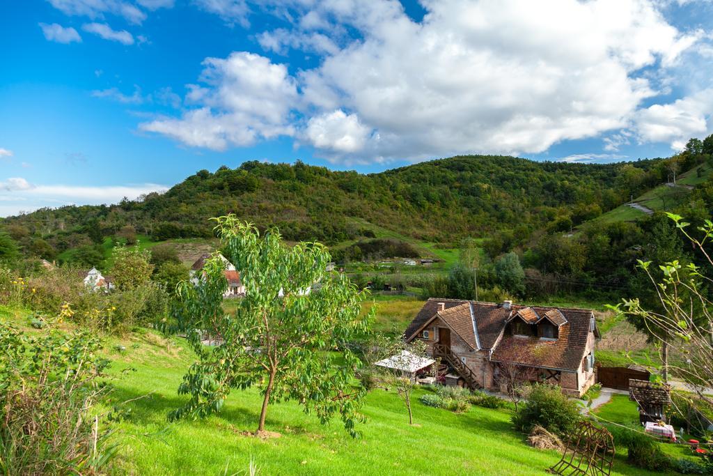 Гостьовий будинок Country House "Stricev Grunt" Stara Kapela Номер фото